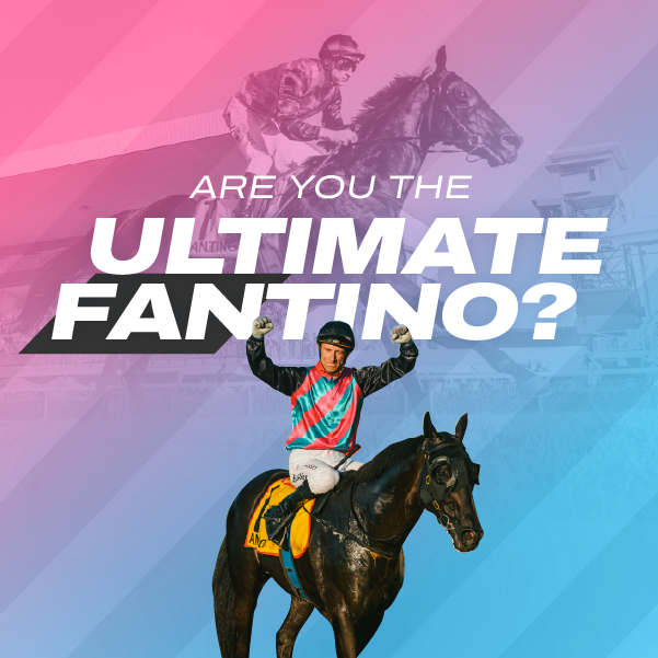 Ultimate Fantino